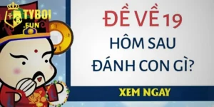 Thông tin về việc đề về 19